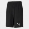 Puma Short Active Interlock