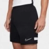 Nike Short Dri-Fit Academy