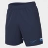 Nike Short M Academy