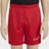 Nike Short Dri-fit Academy