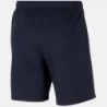 Nike Short Flc Park20