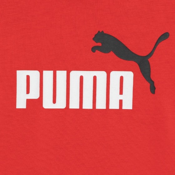 Puma Kit Minicats