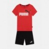 Puma Kit Minicats