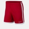 Nike Short Dry Academy