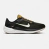 Nike Chaussures Air Winflo 10