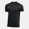 Nike T-Shirt Dry Park20