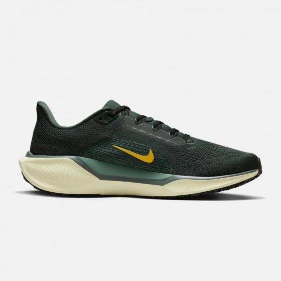 Nike Chaussures Air Zoom Pegasus 41