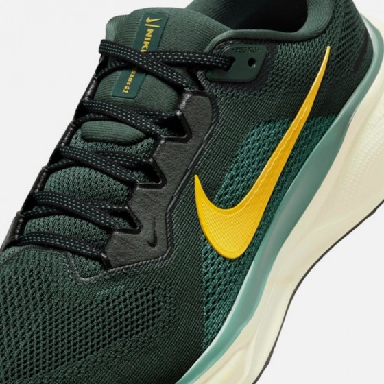 Nike Chaussures Air Zoom Pegasus 41