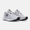 Under Armour Chaussures Ua Surge 3