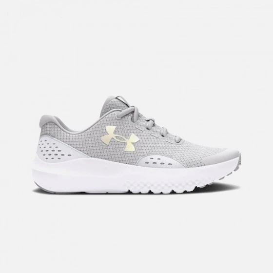 Under Armour Chaussures Surge 4