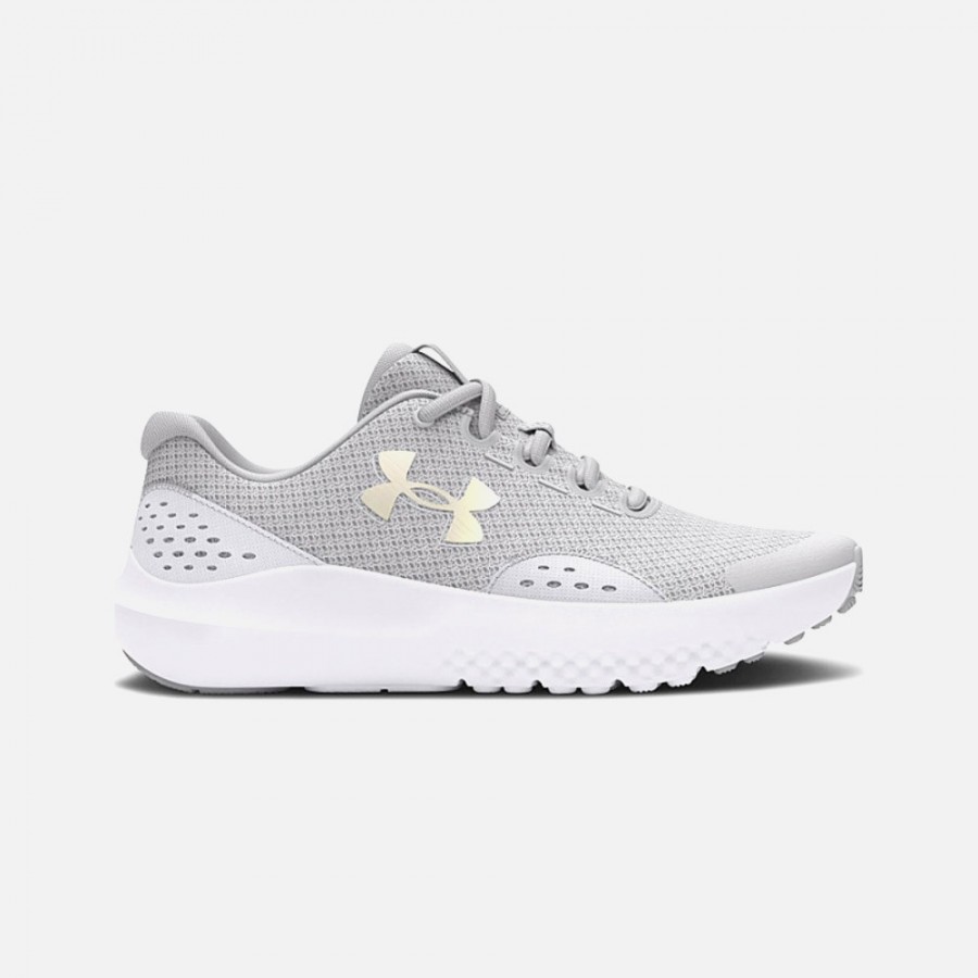 Under Armour Chaussures Surge 4